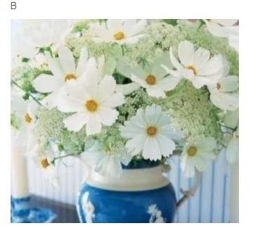 1578811104651476.jpg 4.jpg