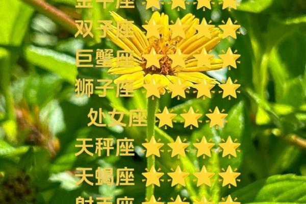 2025年3月26日今日白羊座星座运势