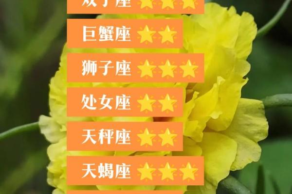 白羊座今日星座运势2025年3月29日