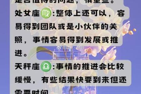 摩羯座今日运势星座屋2025年3月31日