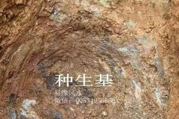 今天动土可以吗 今天动土可以吗