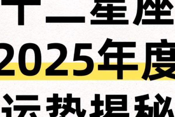 2023星座运势及运程详解12星座全年运势完整解析