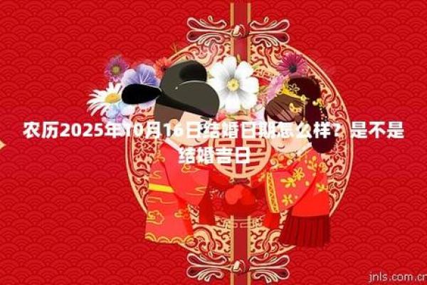 2025年属猪和属兔的结婚吉日(2025年属猪和属兔的结婚吉日是哪几天)
