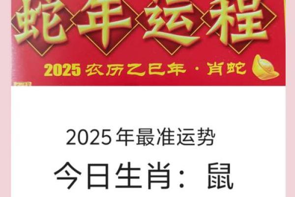 属鼠今年装修的最佳日子 属鼠今年装修的最佳日子