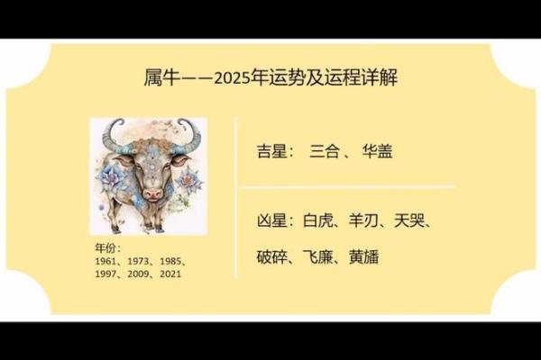 金牛座8月运势2025年 2025年金牛座8月运势解析事业爱情双丰收 金牛座8月运势2025年 2025年金牛座8月运势解析事业爱情双丰收