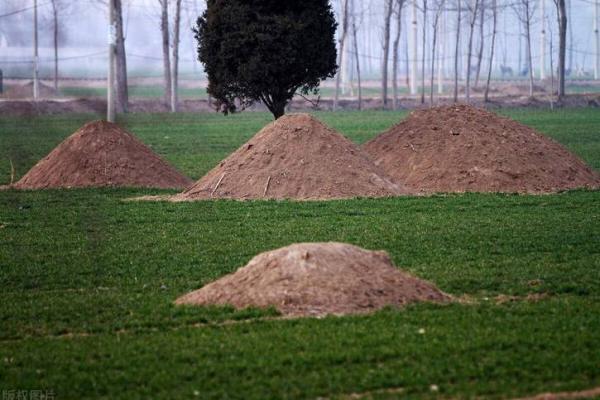 坟地周围多少米不能动土(坟周围多少米有坑影响风水)