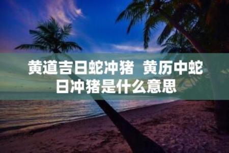 属蛇的装修吉日查询6月