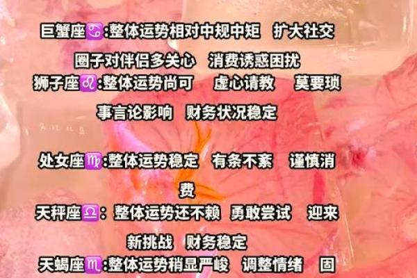 12星座一生运势 12星座一生运势全解析揭秘你的命运轨迹 12星座一生运势 12星座一生运势全解析揭秘你的命运轨迹