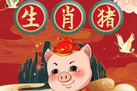 属猪星座运势查询_2024年属猪星座运势查询全年运势详解与提升指南