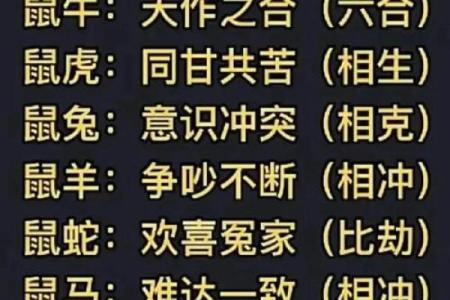 属鼠的女孩2025年几月结婚好(属鼠2025年多大)