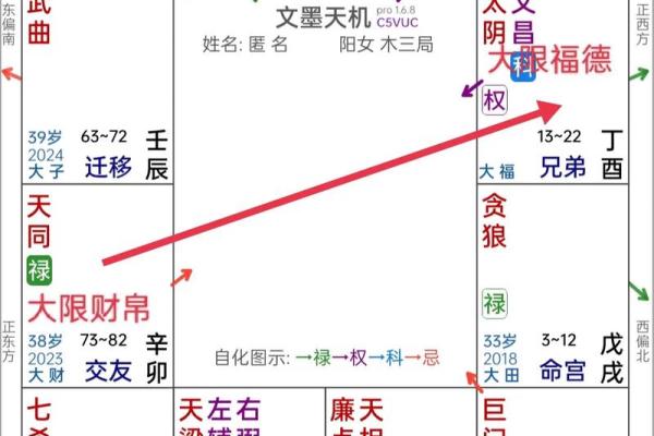 飞星派紫微斗数解析精准预测命运的秘密