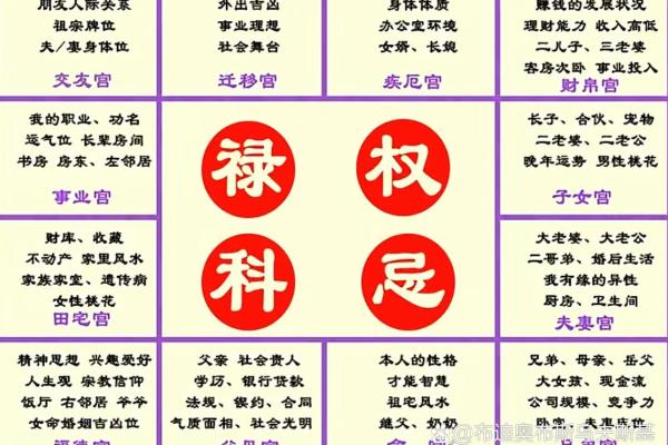 夫妻宫化禄入财帛宫_夫妻宫化禄入财帛宫财运与婚姻的双重提升解析