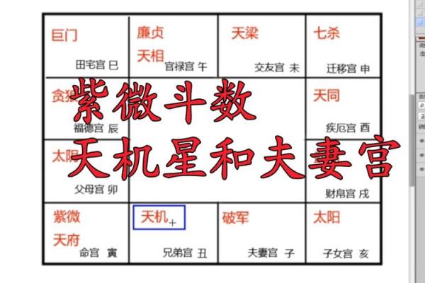 地空在夫妻宫解析婚姻运势与情感影响 地空在夫妻宫解析婚姻运势与情感影响