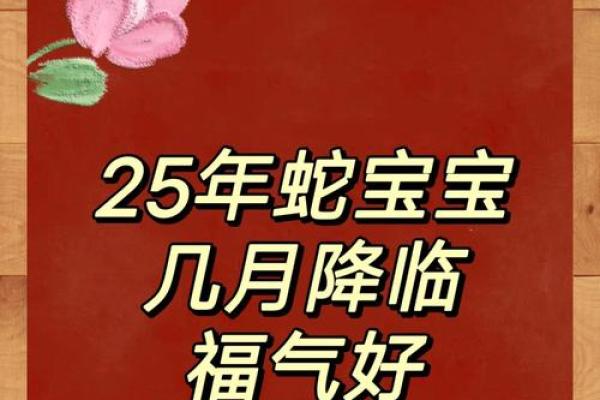属蛇今年结婚黄道吉日