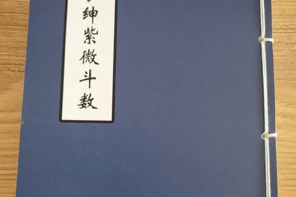 夫妻宫巨门化权揭秘婚姻运势与权力格局 夫妻宫巨门化权揭秘婚姻运势与权力格局