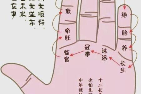 夫妻宫庚辰什么意思 夫妻宫庚辰解析命理中的婚姻运势与含义