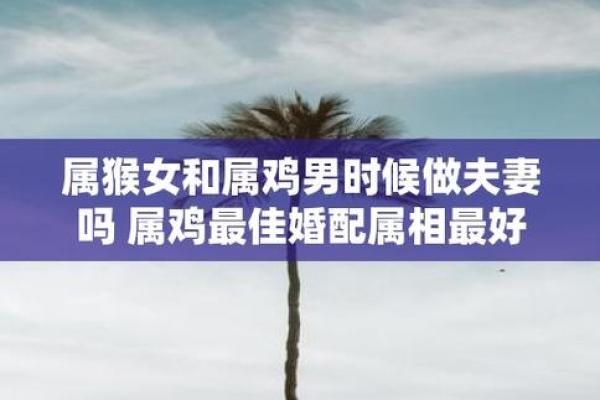 男鸡与什么属相相配最好呢 鸡和谁是天生一对 男鸡与什么属相相配最好呢 鸡和谁是天生一对