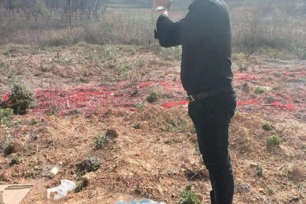 今天适合动土(今天适合动土栽树吗)