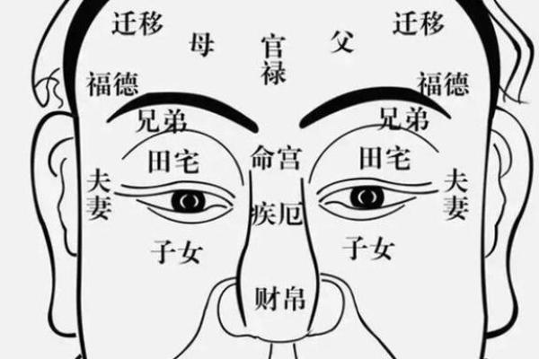 夫妻宫化权入疾厄宫_夫妻宫化权入疾厄宫代表什么 夫妻宫化权入疾厄宫_夫妻宫化权入疾厄宫代表什么