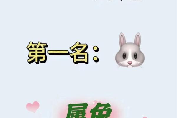 属兔2025年结婚最好的日子 属兔2025年结婚最好的日子