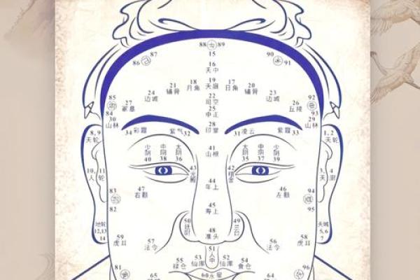 夫妻宫位置 夫妻宫位置图片 夫妻宫位置 夫妻宫位置图片