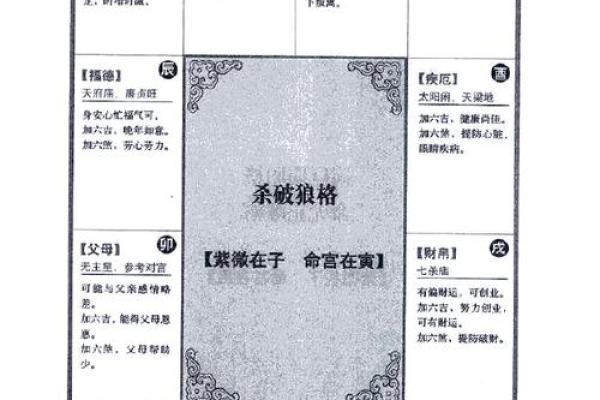 2025年3月2日寅时男命紫微斗数全解盘 2025年3月2日寅时男命紫微斗数全解盘
