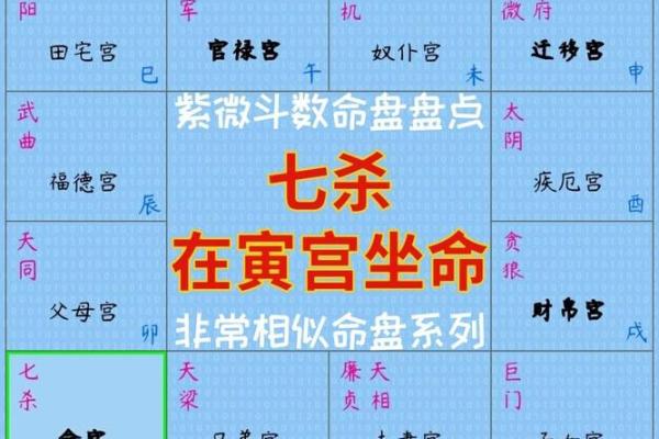 2025年2月22日寅时男命紫微斗数全解盘 2025年2月22日寅时男命紫微斗数全解盘
