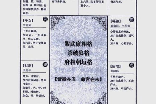 2025年3月7日子时男命紫微斗数全解盘 2025年3月7日子时男命紫微斗数全解盘