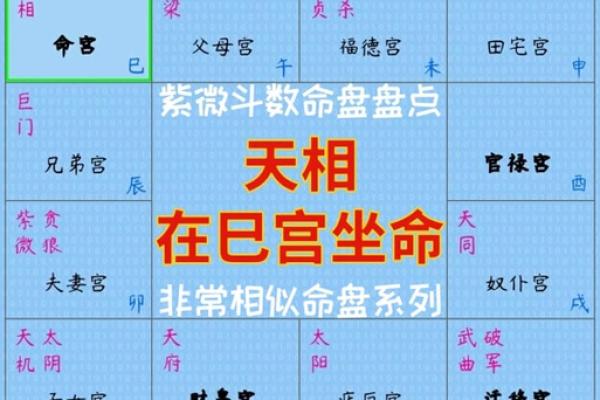 2025年3月23日丑时女命紫微斗数全解盘