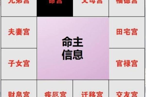 夫妻宫化权入子女宫_夫妻宫化权入子女宫配偶出轨吗 夫妻宫化权入子女宫_夫妻宫化权入子女宫配偶出轨吗