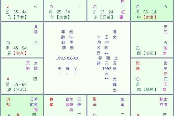 2025年2月25日卯时男命紫微斗数全解盘 2025年2月25日卯时男命紫微斗数全解盘