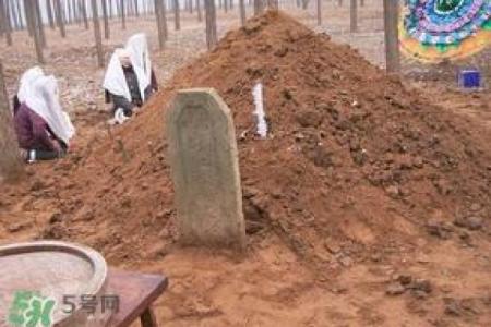 初一动土好不好