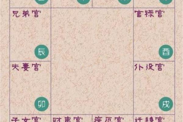 2025年2月23日丑时女命紫微斗数全解盘 2025年2月23日丑时女命紫微斗数全解盘