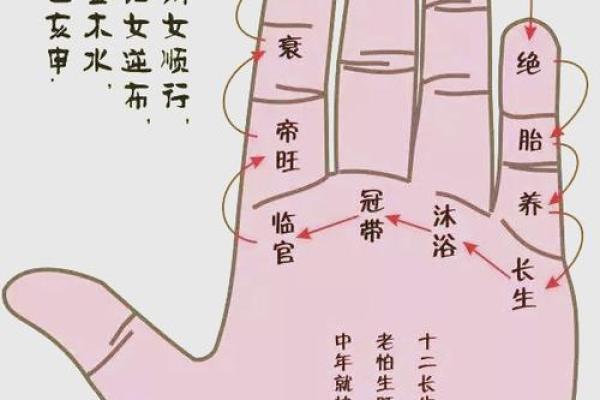 夫妻宫凤阁解析命理中的婚姻奥秘 夫妻宫凤阁解析命理中的婚姻奥秘