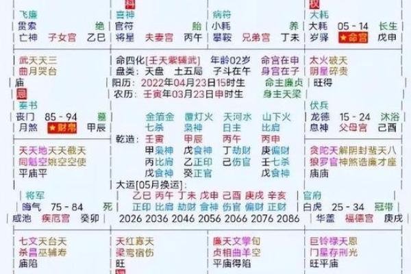2025年2月25日子时女命紫微斗数全解盘 2025年2月25日子时女命紫微斗数全解盘
