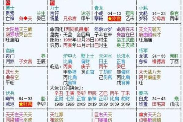 2025年3月14日丑时男命紫微斗数全解盘 2025年3月14日丑时男命紫微斗数全解盘