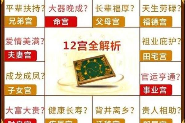 2025年2月17日子时女命紫微斗数全解盘 2025年2月17日子时女命紫微斗数全解盘