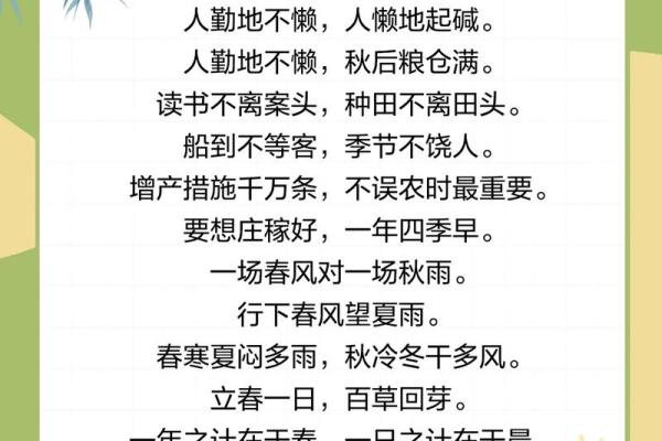 属兔的立春这天有什么讲究 属兔人立春必知的10大讲究与禁忌