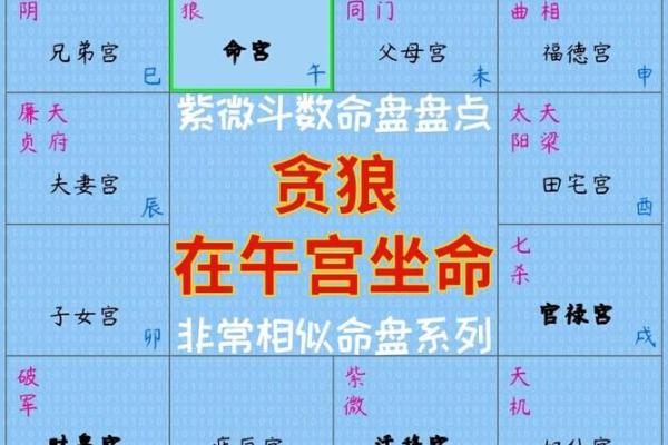 2025年2月16日丑时男命紫微斗数全解盘 2025年2月16日丑时男命紫微斗数全解盘