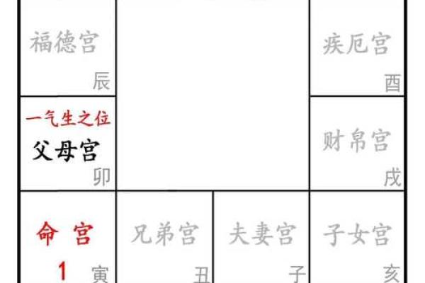 夫妻宫己亥解析命理中的婚姻奥秘 夫妻宫己亥解析命理中的婚姻奥秘