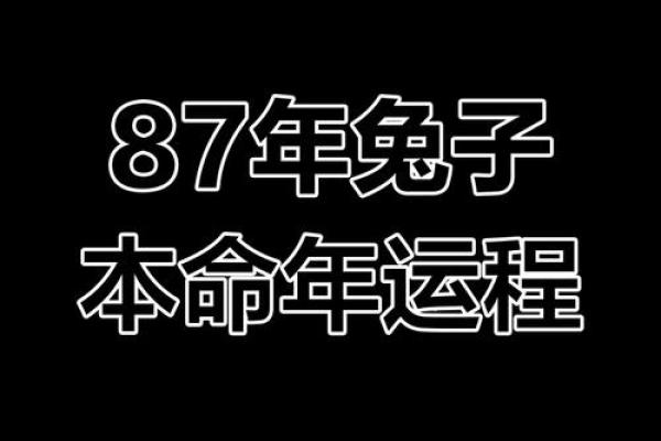 87年属兔一生转折点_87年属兔人的终生宿命 87年属兔一生转折点_87年属兔人的终生宿命