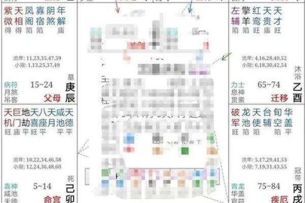 2025年2月27日卯时男命紫微斗数全解盘 2025年2月27日卯时男命紫微斗数全解盘