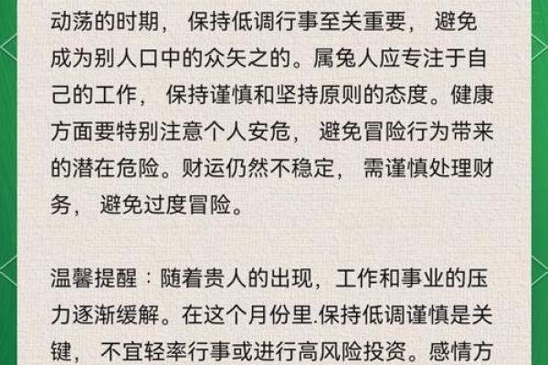 属兔的2025年运势 2025年属兔运势详解财运事业爱情全面解析