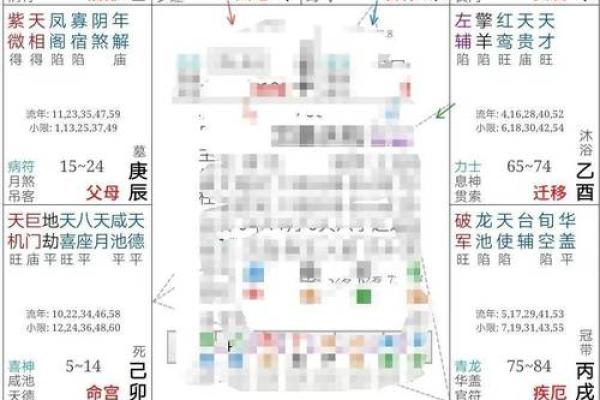 2025年2月24日寅时女命紫微斗数全解盘