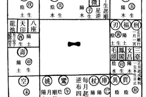 2025年3月13日子时男命紫微斗数全解盘