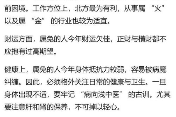 属兔人2025年运势完整版_2025年属兔运气怎么样