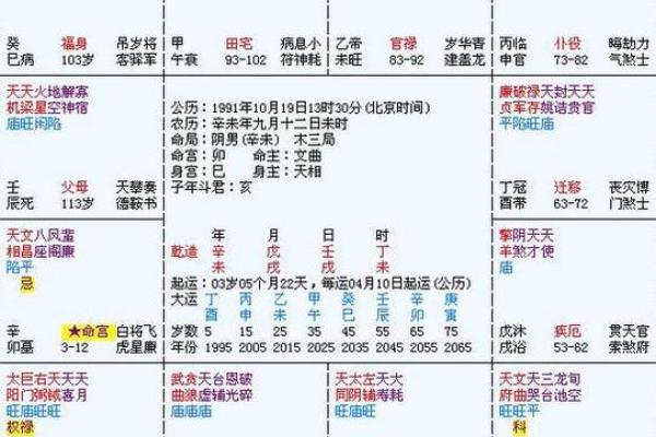2025年3月5日寅时男命紫微斗数全解盘 2025年3月5日寅时男命紫微斗数全解盘