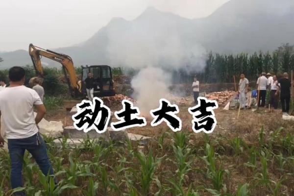 今天动土 今天动土