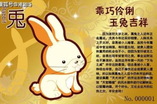2025年属兔运势详解全年运程大揭秘