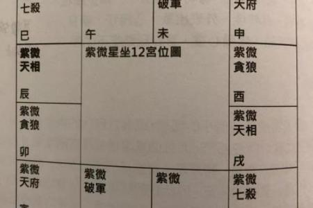 2025年3月29日子时女命紫微斗数全解盘